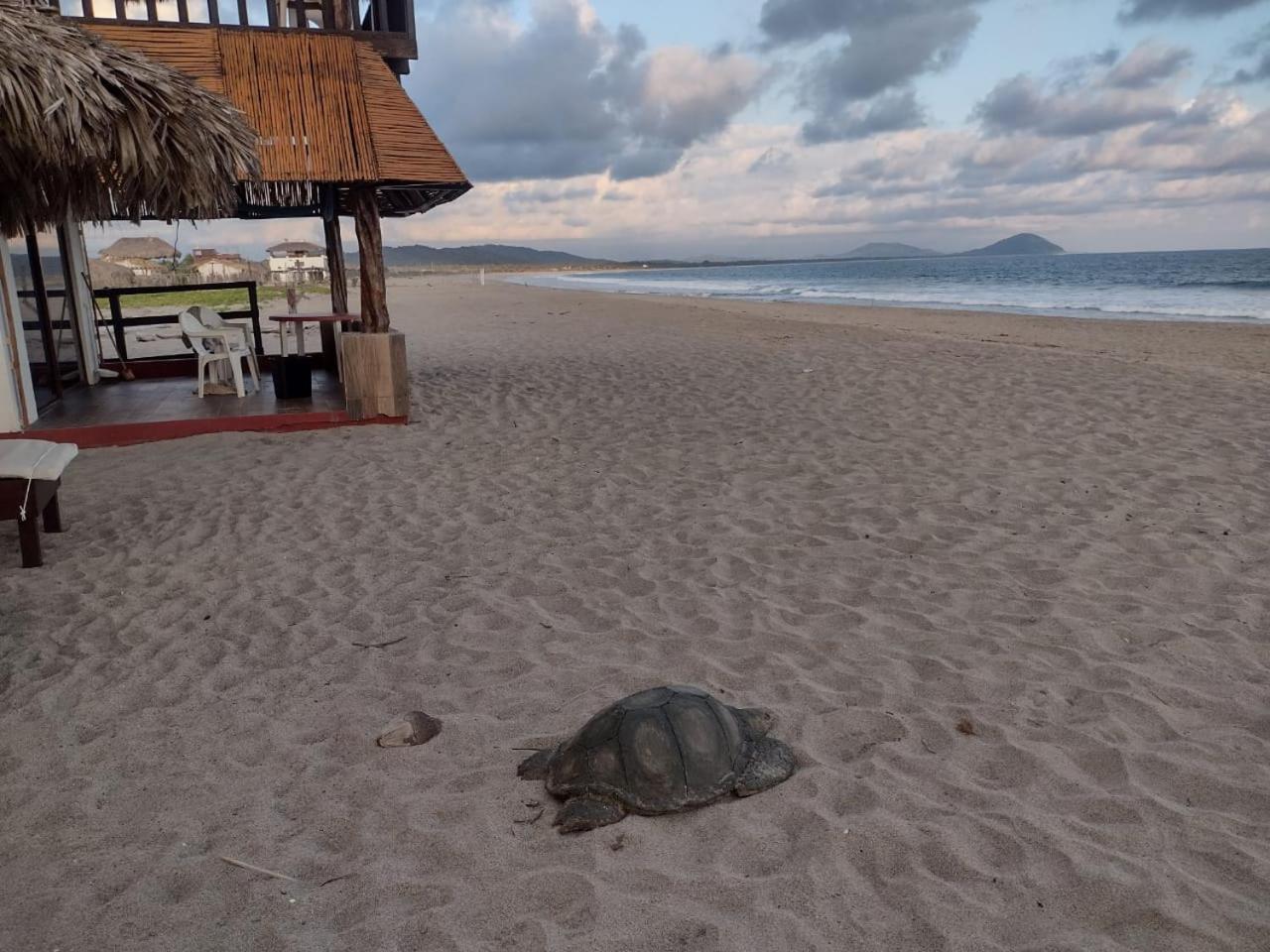 Cabanas Alta Mar Guayabas Екстериор снимка